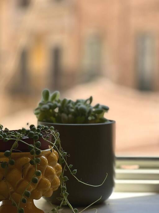 Apartamento Terrazza Sul Mercato. Your House In Ballaro